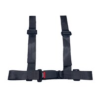 Racegordel Donker Grijs - 4 Puntgordel - 4 puntsgordel - Sport racegordel E13